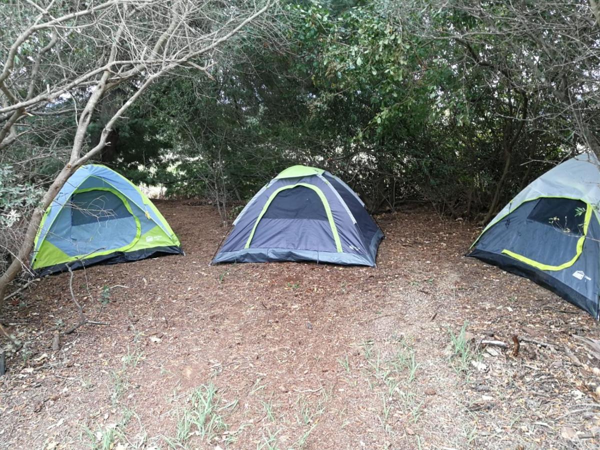 Klipfontein Rustic Farm & Camping Tulbagh Ngoại thất bức ảnh