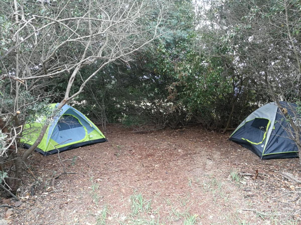 Klipfontein Rustic Farm & Camping Tulbagh Ngoại thất bức ảnh